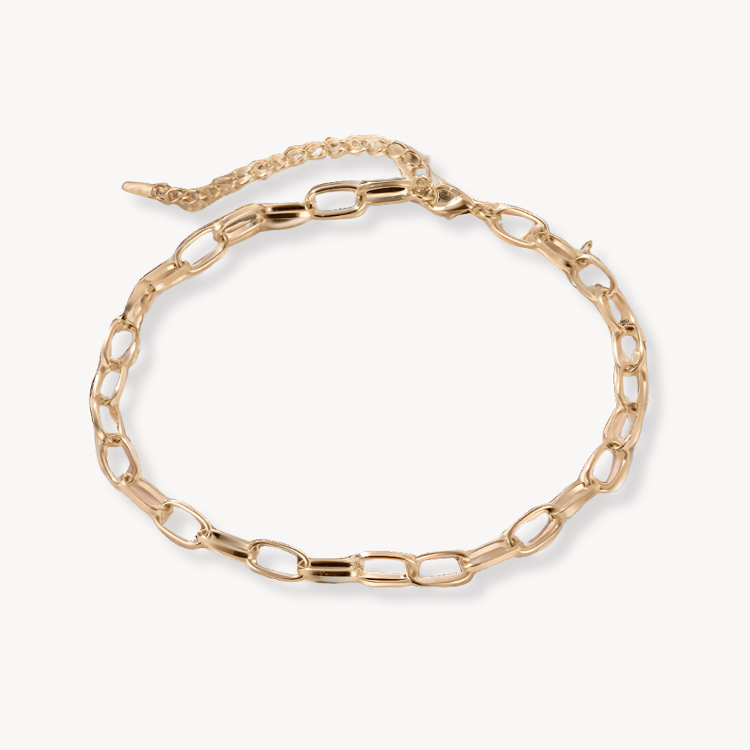 Rolo Chain Choker Necklace